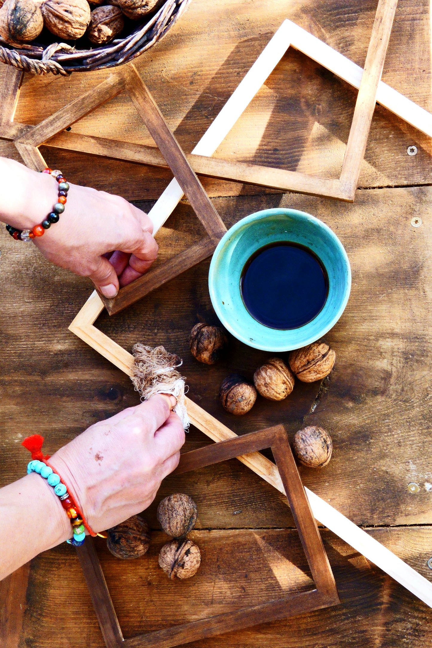 Planche botanique Raisin