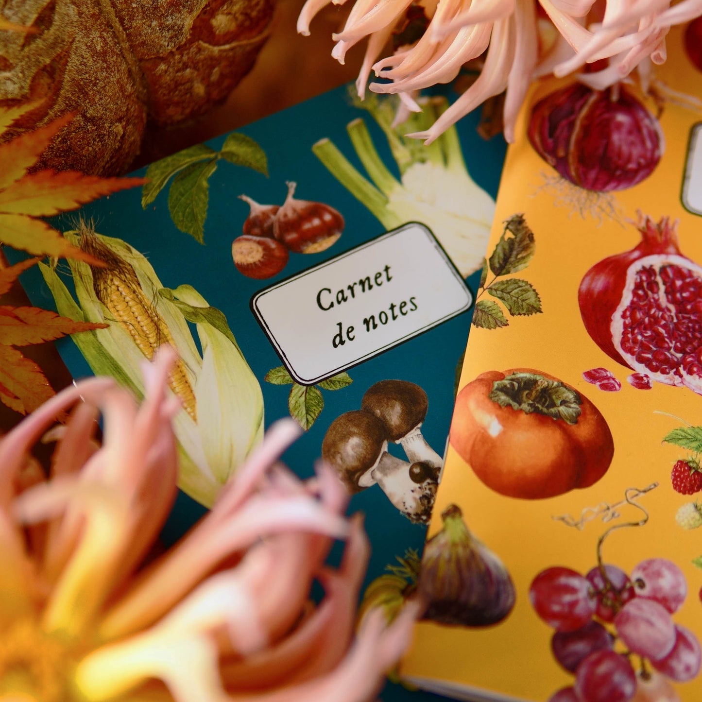 Carnet botanique légumes bleu