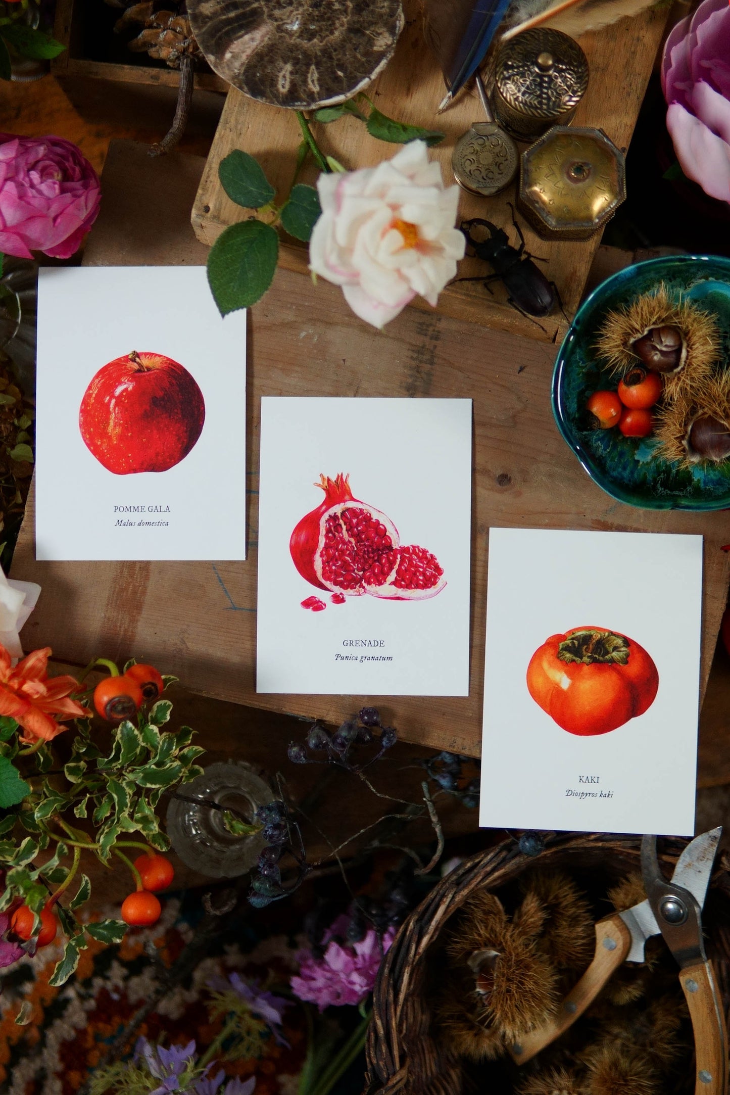 Carte botanique Grenade