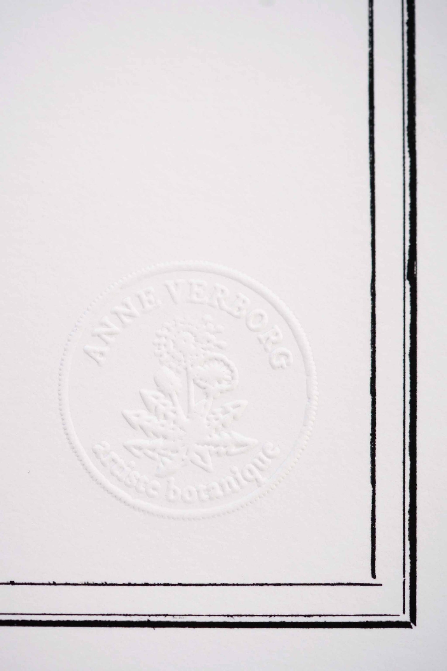 Planche botanique Châtaigne