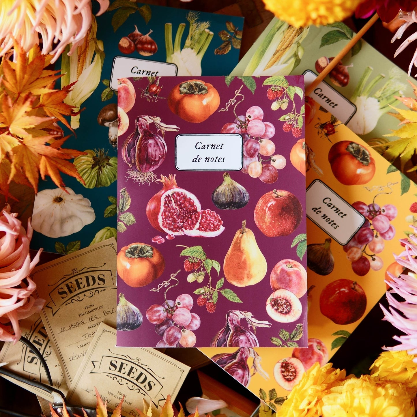 Carnet botanique fruits bordeaux