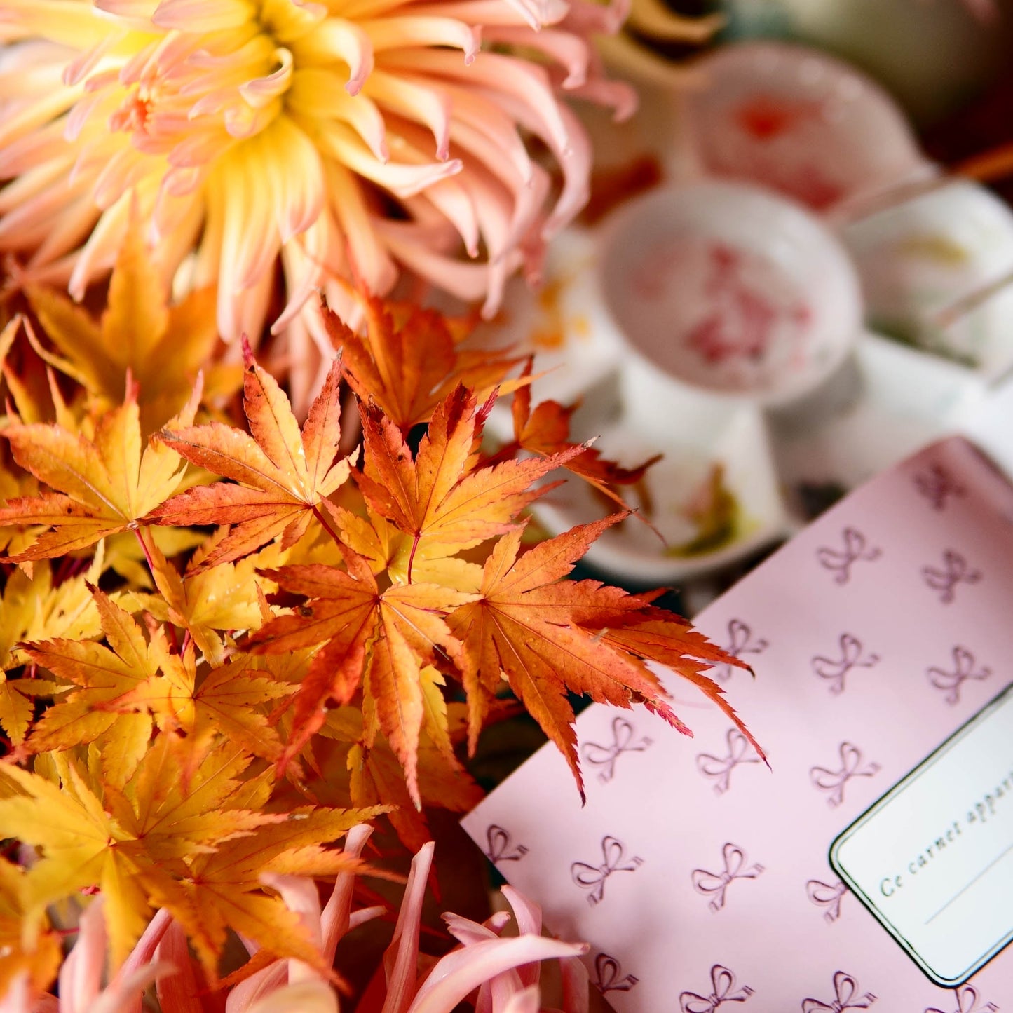 Carnet botanique fruits bordeaux