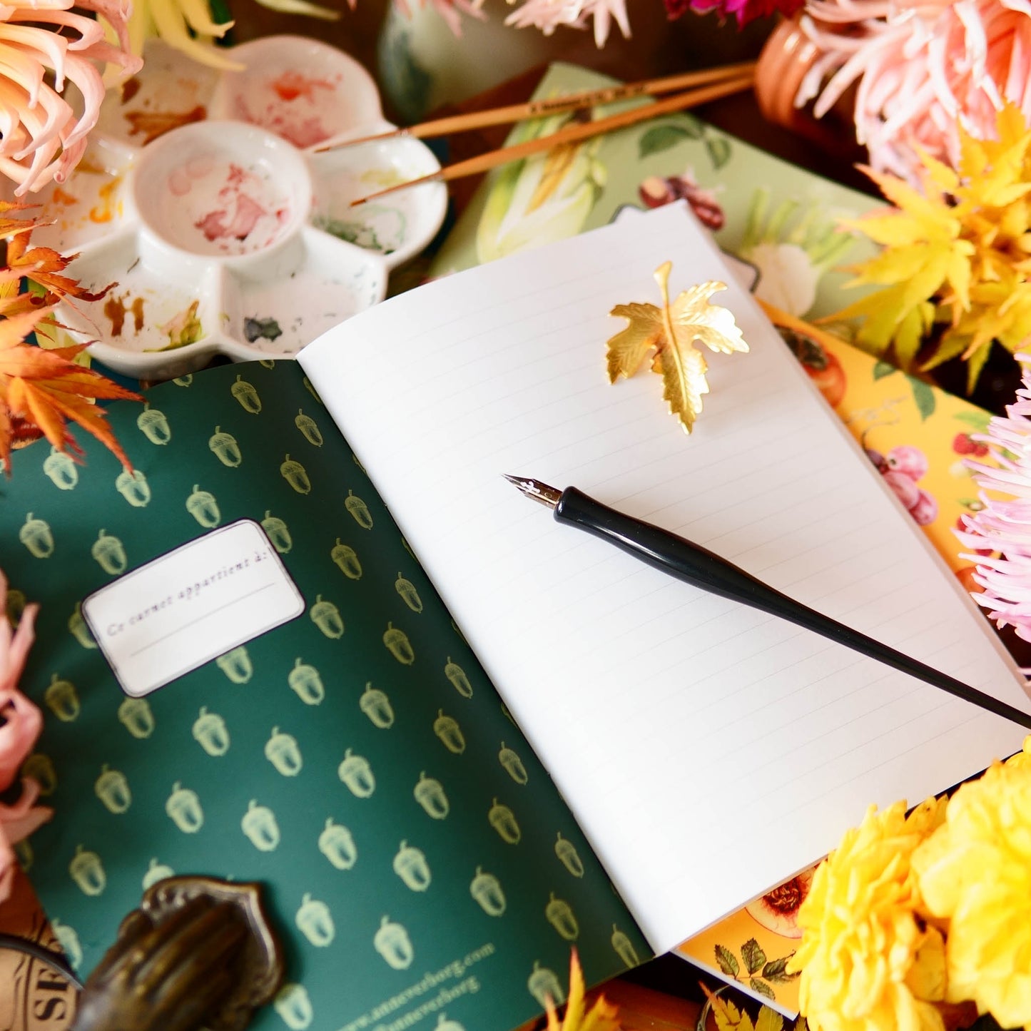 Carnet botanique légumes sauge