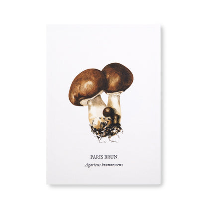 Carte botanique Champignon