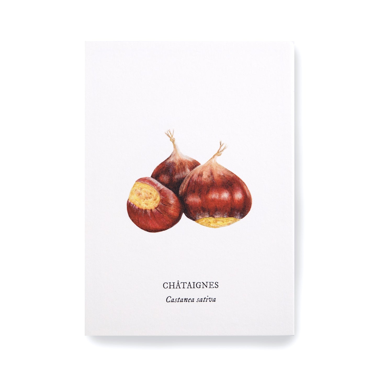 Carte botanique Châtaignes