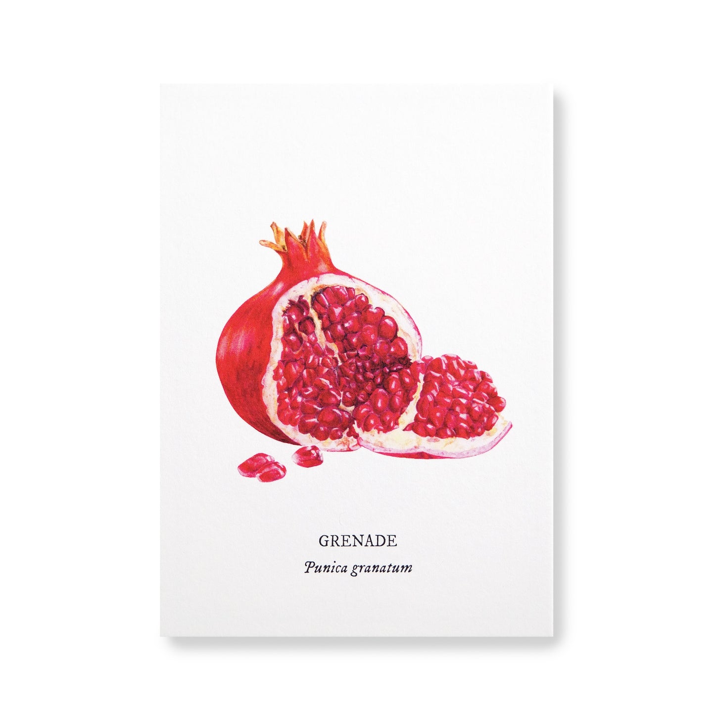 Carte botanique Grenade