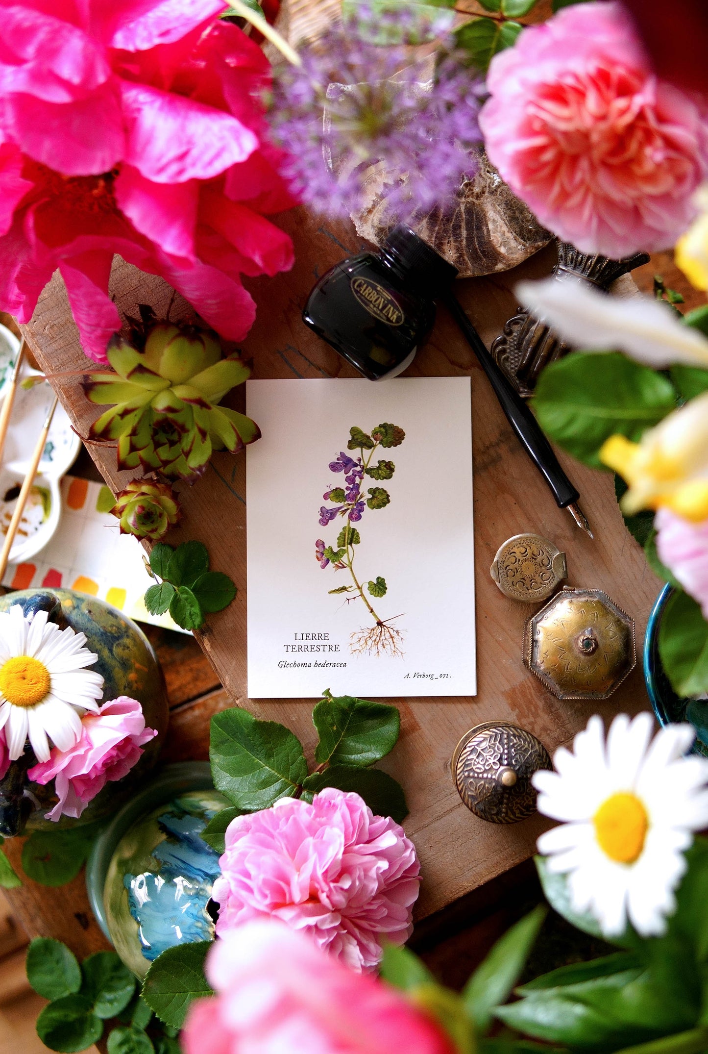 Botanical card ground ivy