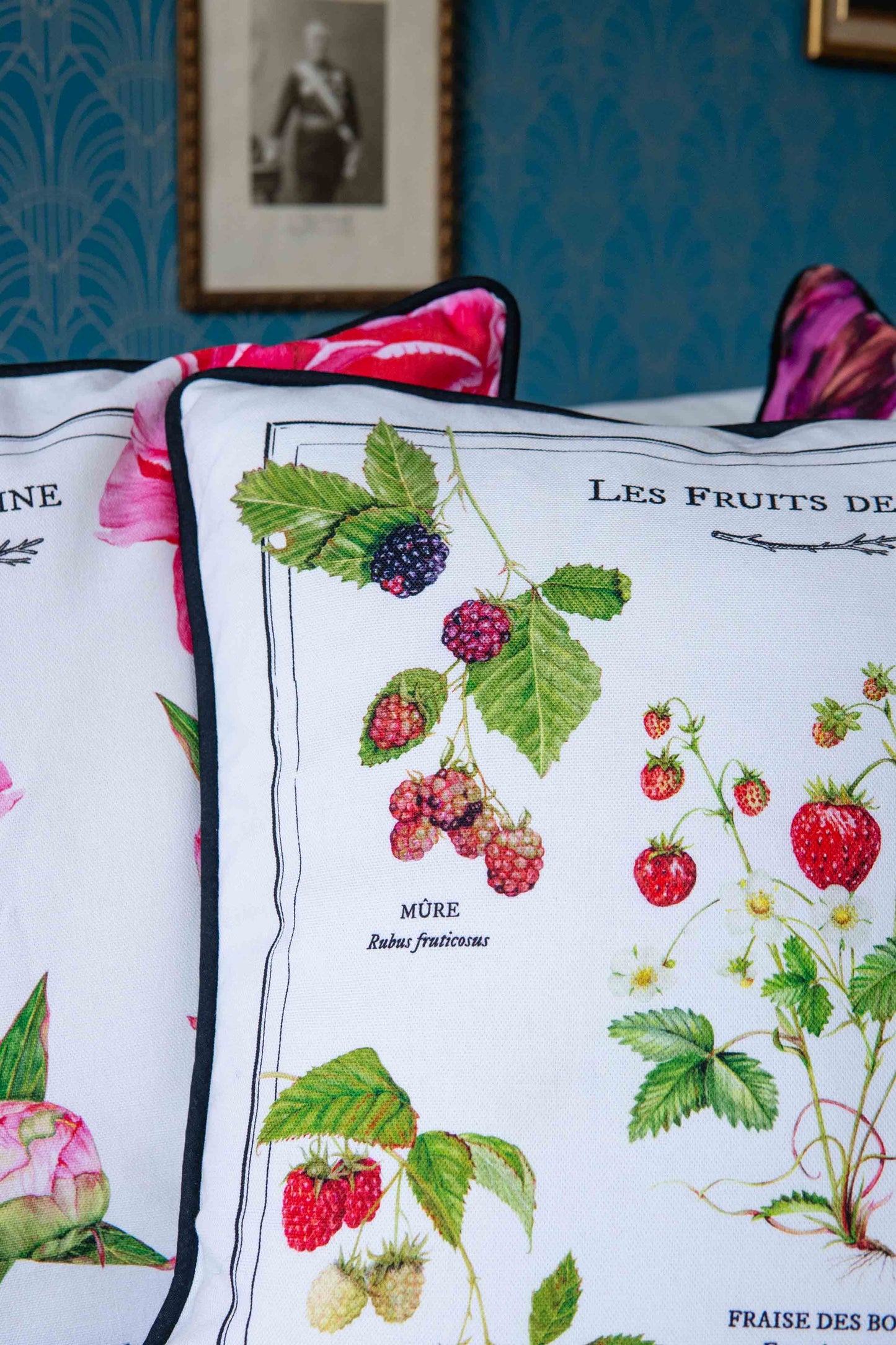 Coussin Fruits des bois