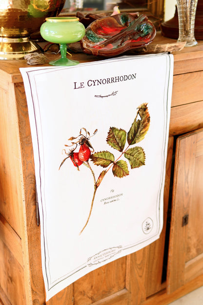 Torchon Cynorrhodon