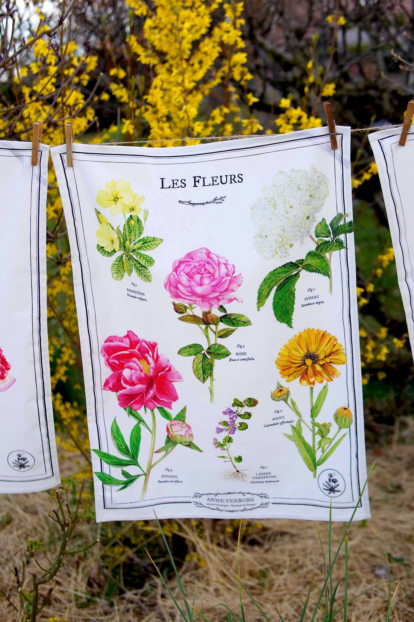 Torchon Fleurs