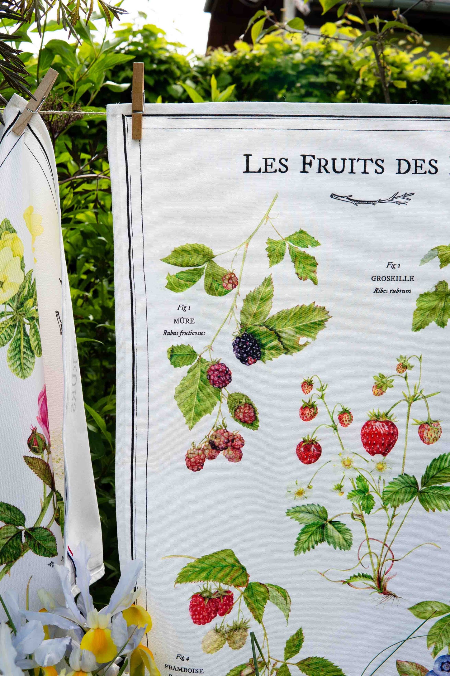 Torchon Fruits des bois