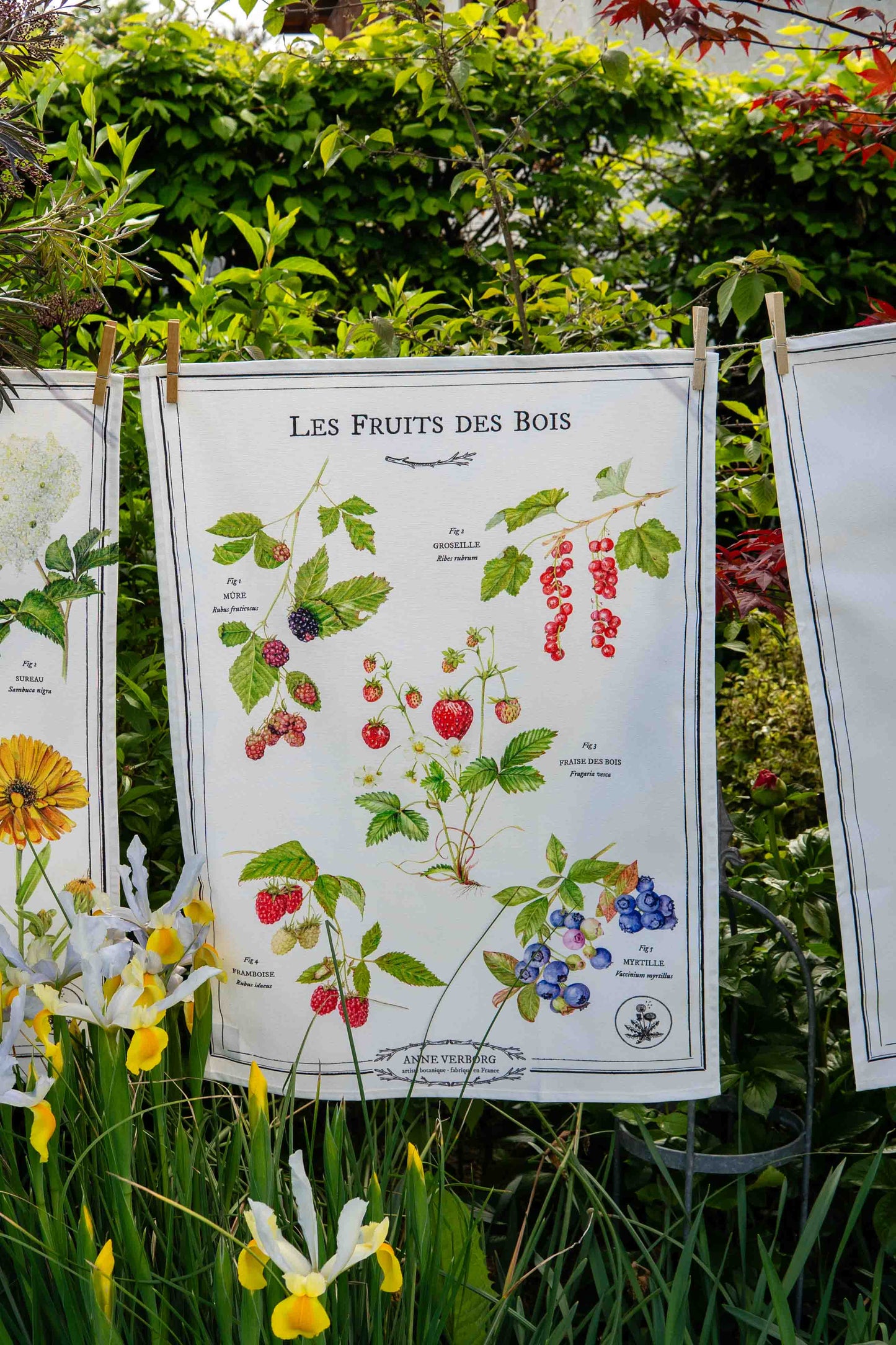 Torchon Fruits des bois
