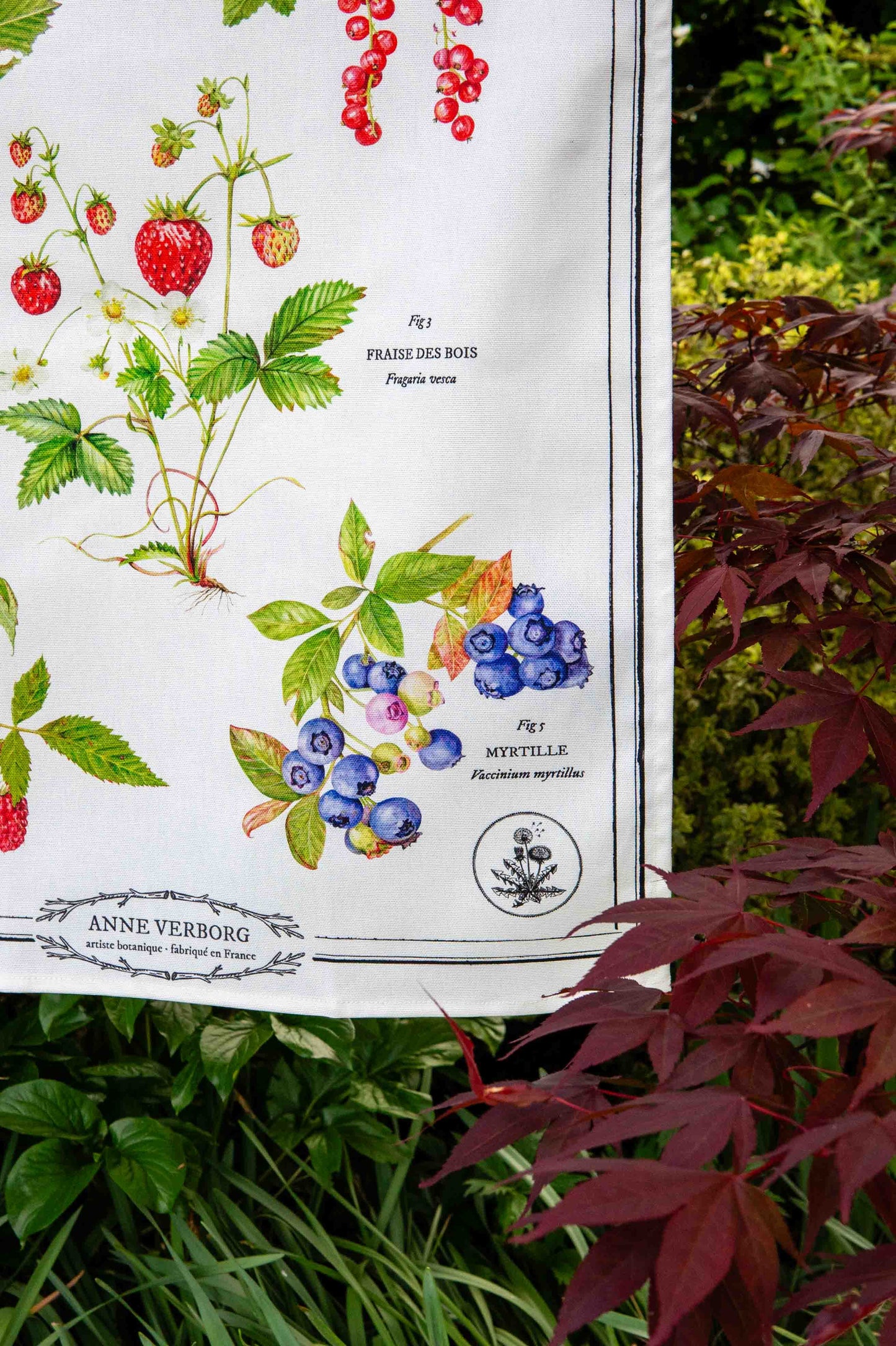 Torchon Fruits des bois