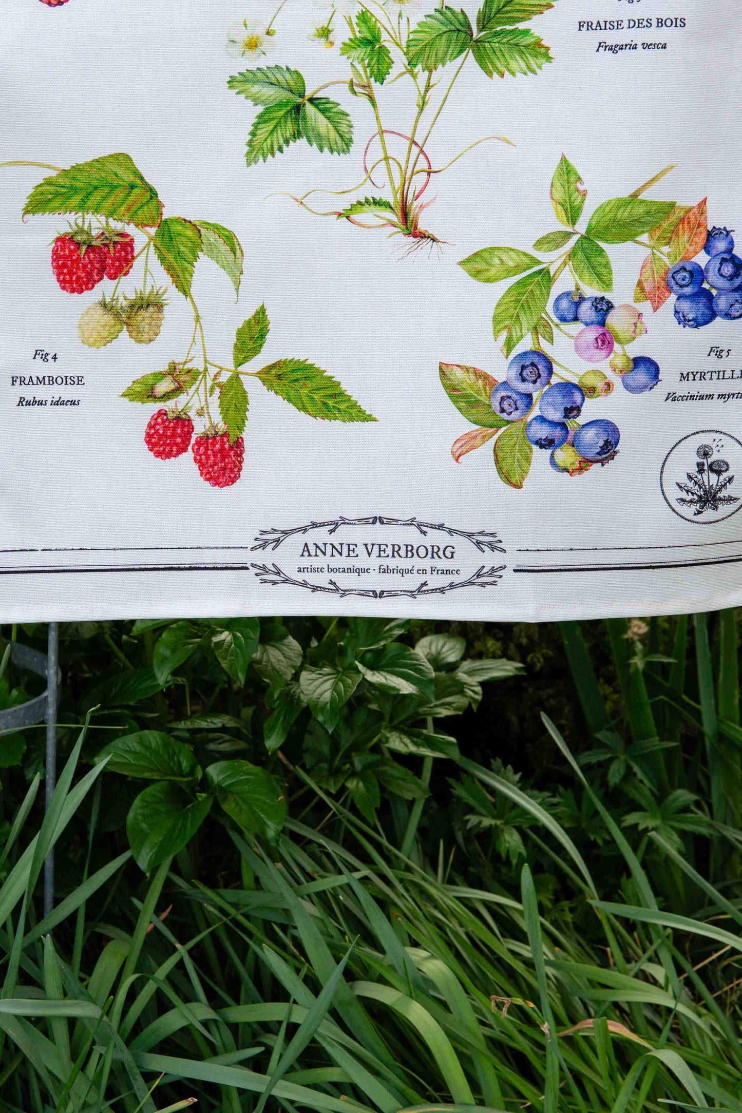 Torchon Fruits des bois