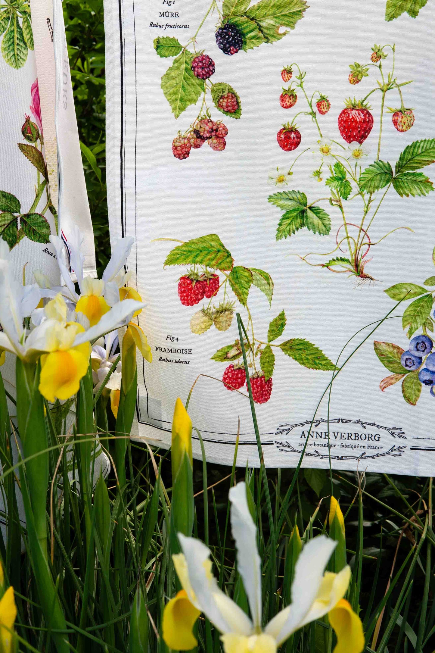 Torchon Fruits des bois