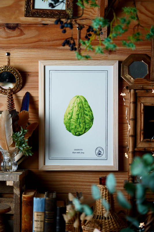 Affiche A4 Chayote