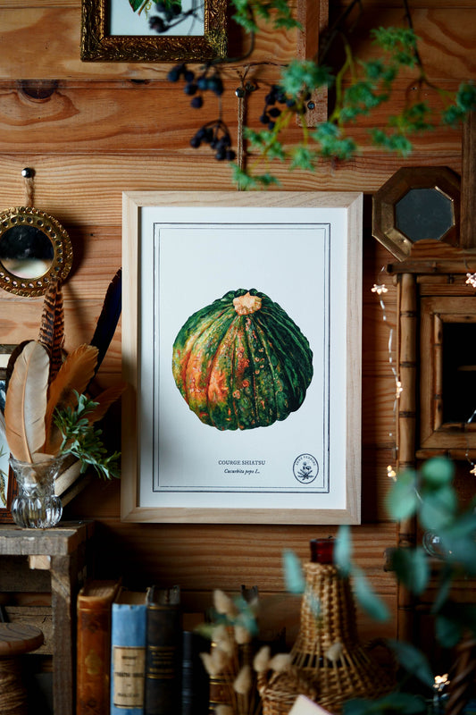 Affiche A4 Courge