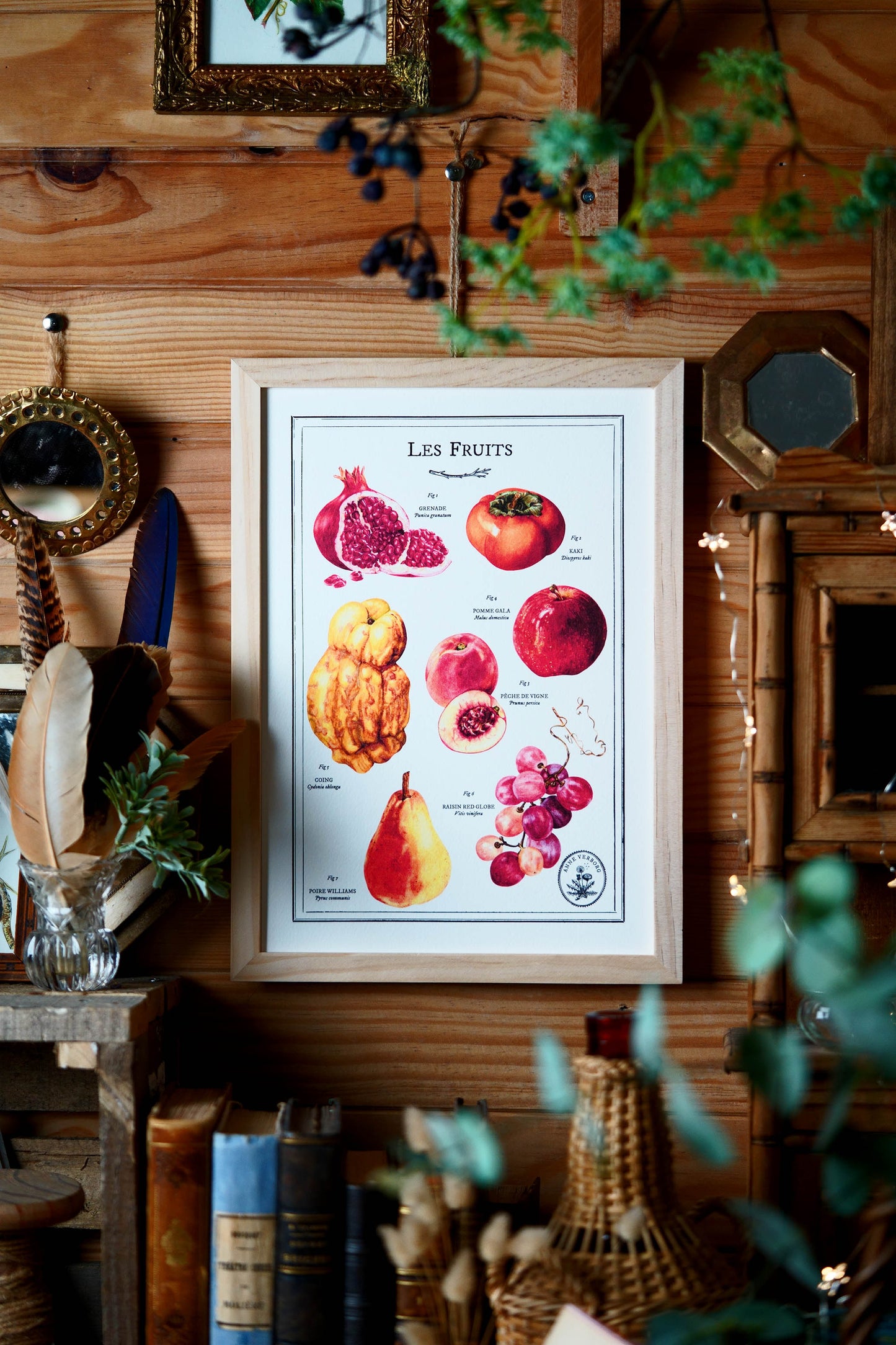 Affiche A4 Les Fruits