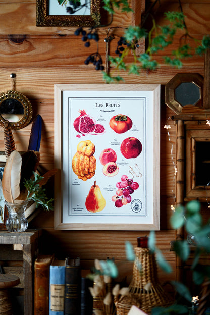Affiche A4 Les Fruits