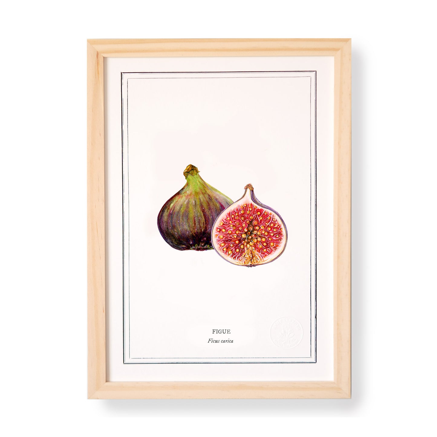 Chestnut botanical board