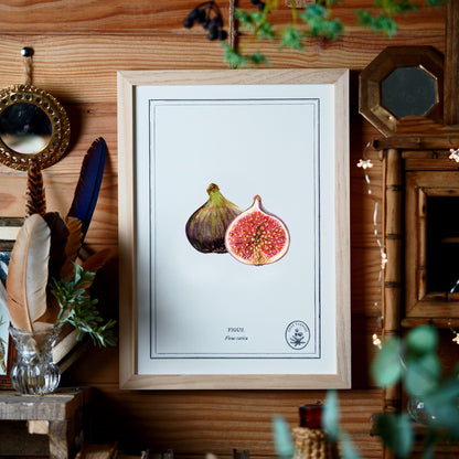 Chestnut botanical board