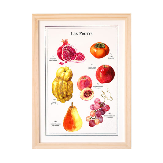 Affiche A4 Les Fruits