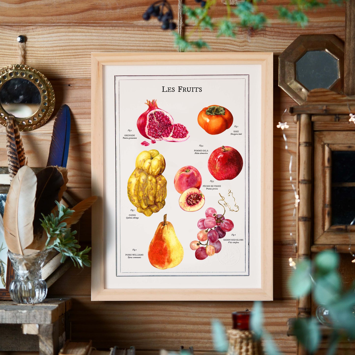Affiche A4 Les Fruits