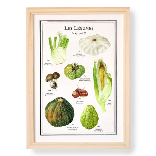 Planche botanique Légumes