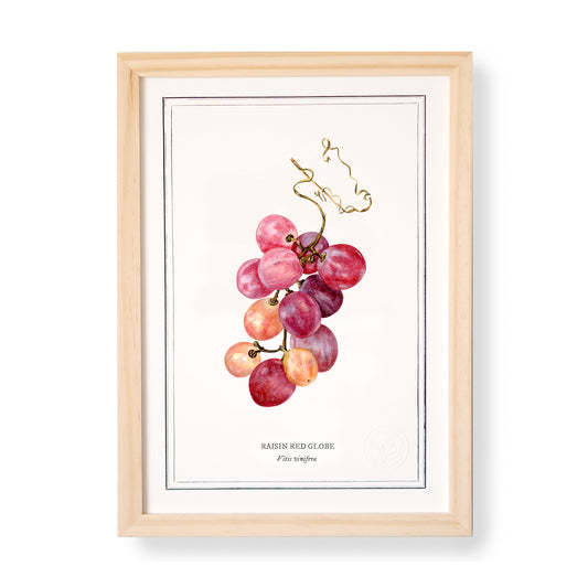 Affiche A4 Raisin