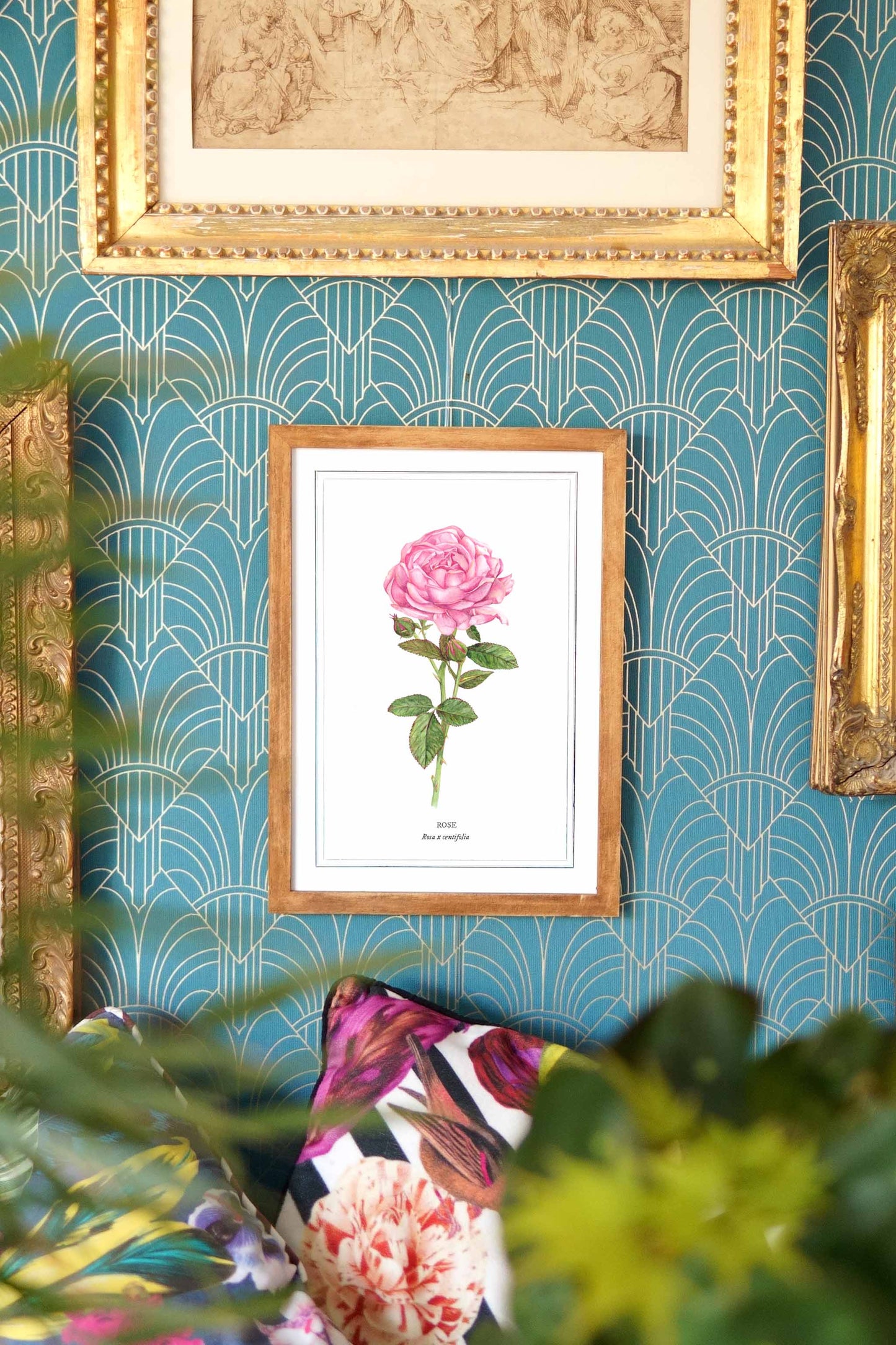 Peony botanical watercolor (A4)