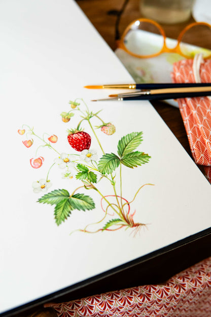 Coussin Fruits des bois