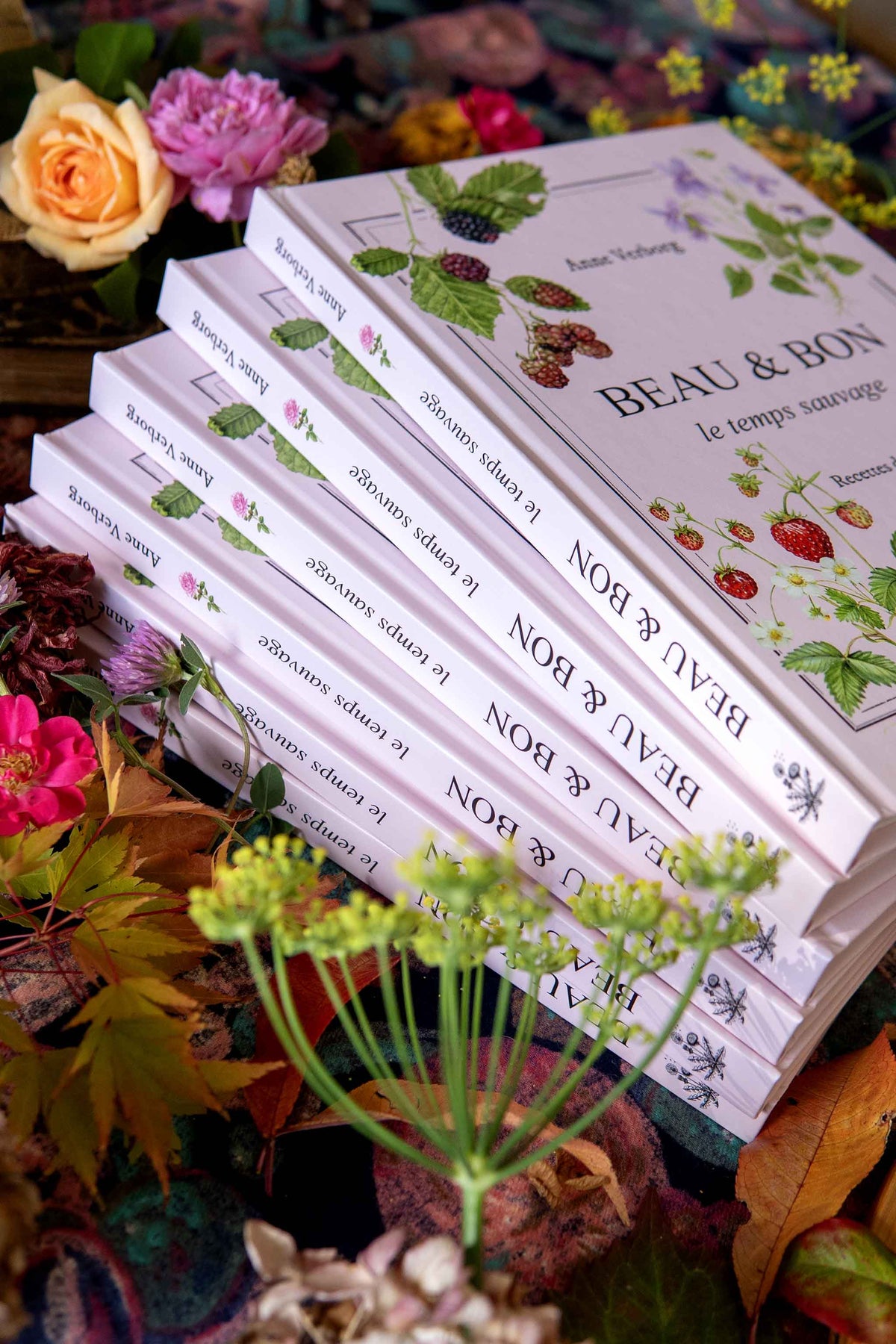livre BEAU & BON le temps sauvage