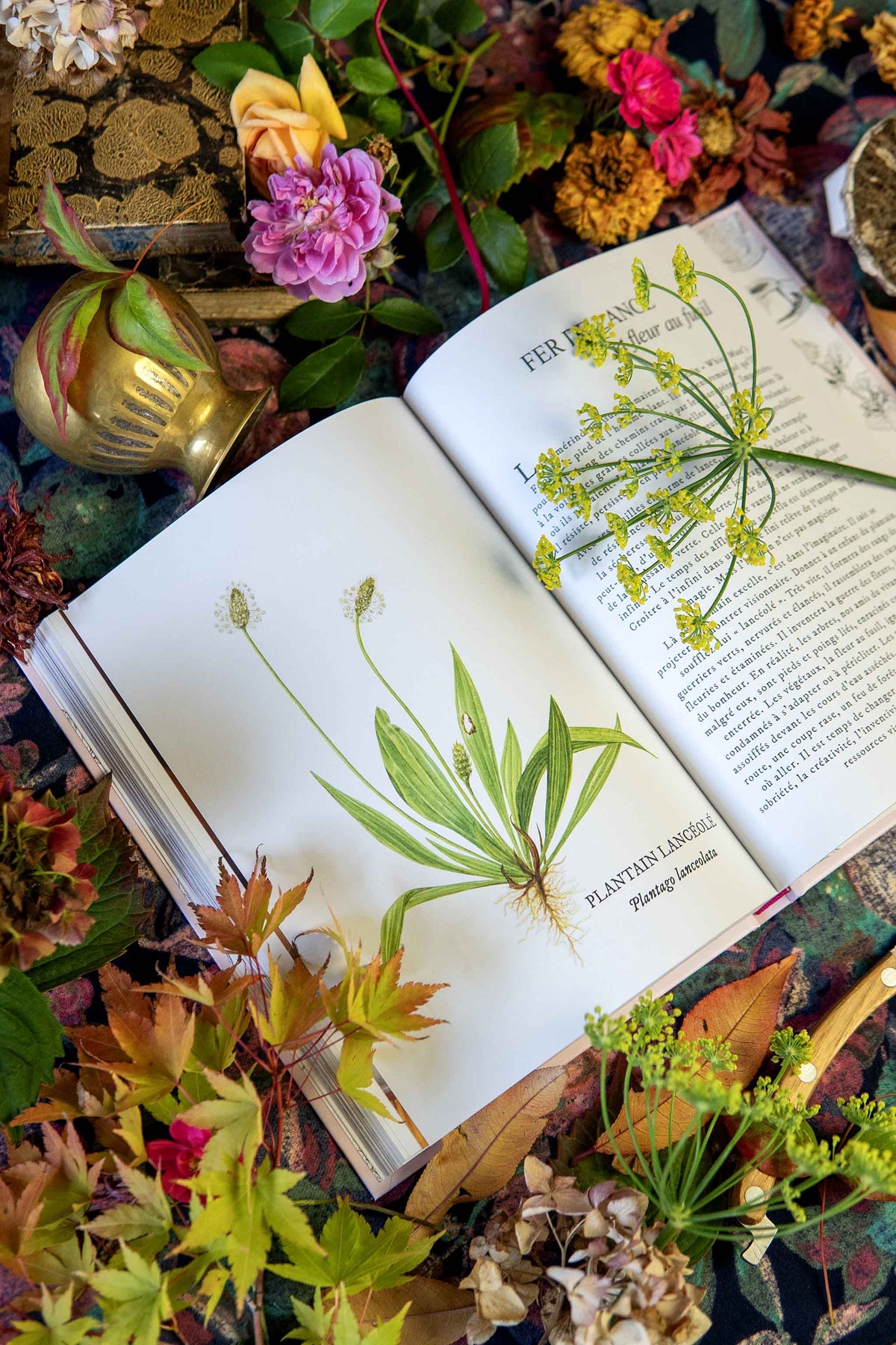 livre BEAU & BON le temps sauvage
