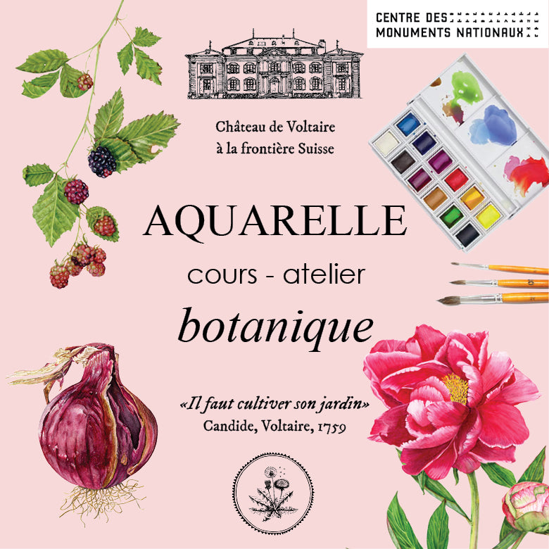 Botanical watercolour workshop - course