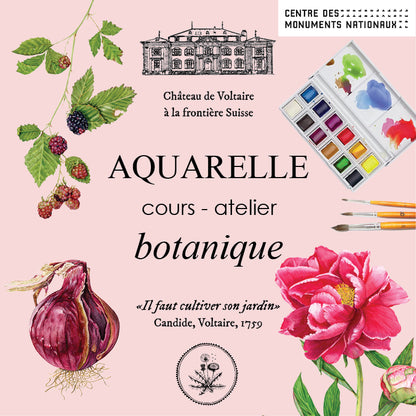 Botanical watercolour workshop - course